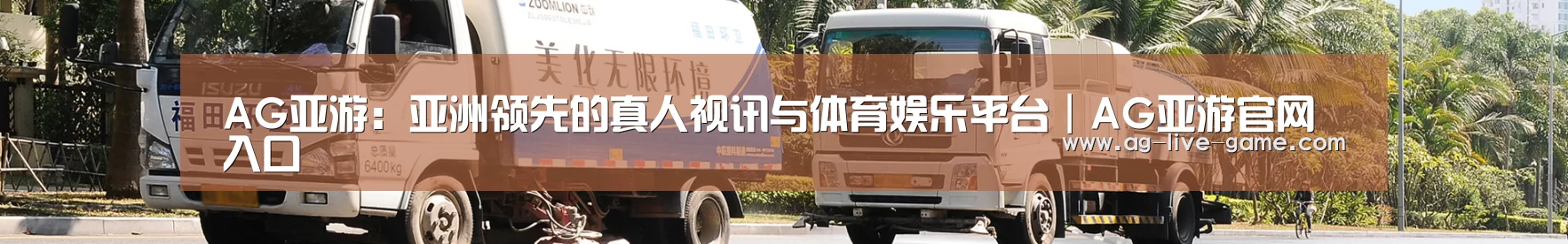 新闻动态