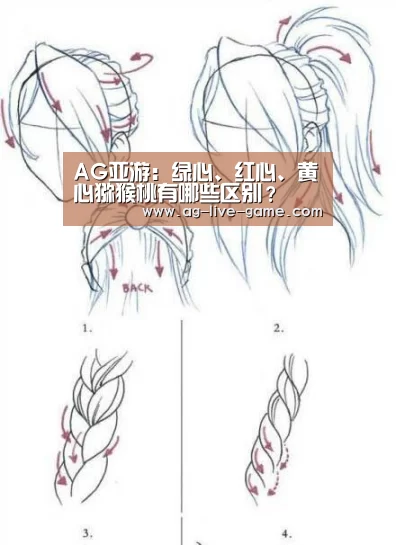AG亚游:绿心、红心、黄心猕猴桃有哪些区别?(图3) AG亚游官网