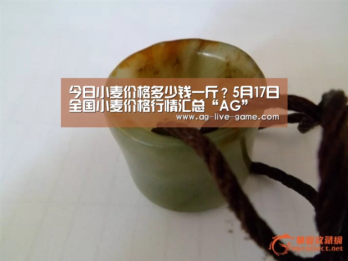 AG亚游官网入口