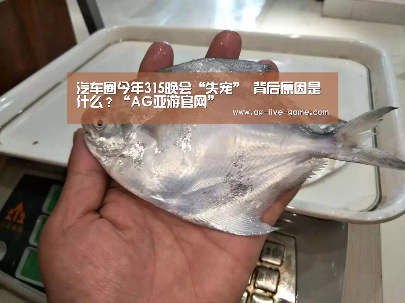 汽车圈今年315晚会“失宠” 背后原因是什么？“AG亚游官网”(图2)