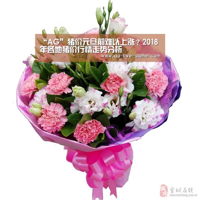 “AG”猪价元旦前难以上涨？2018年各地猪价行情走势分析(图1)