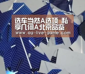 选车当然A选项 私享几何A北京品鉴会圆满收官-AG亚游官网入口(图3) AG亚游官网入口