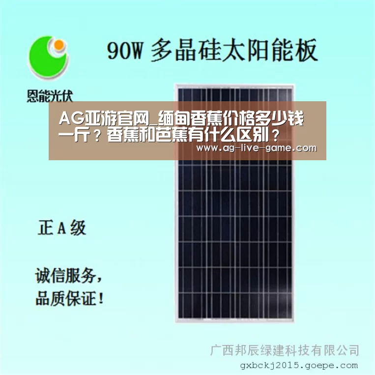 AG亚游官网_缅甸香蕉价格多少钱一斤?香蕉和芭蕉有什么区别?(图1) AG亚游官网入口